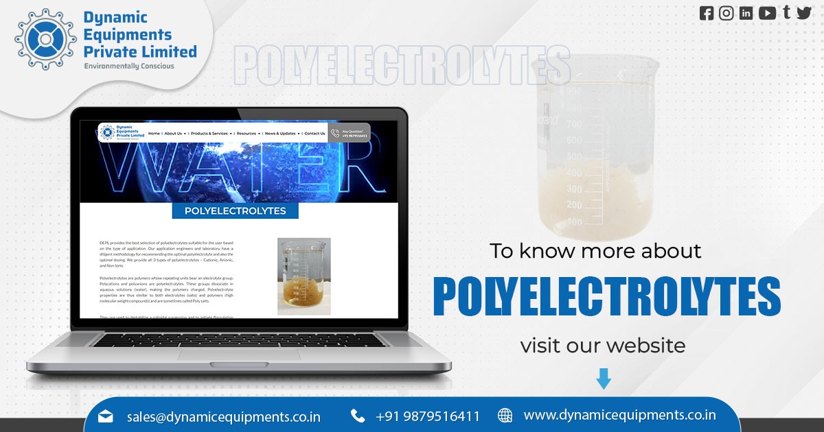 Polyelectrolytes Powder Exporter From Ahmedabad