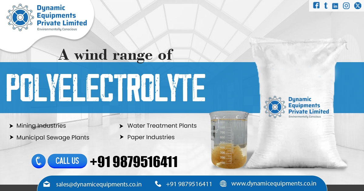 Polyelectrolyte Flocculant Chemical Manufacturer