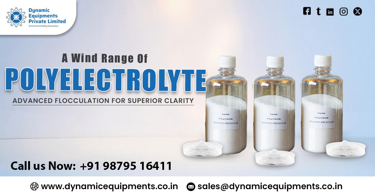 Cationic Polyelectrolyte Powder Manufacturer
